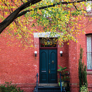 Door with Tree - Capitol Hill, Washington DC by Jenny Nordstrom