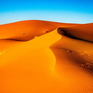 Sand Dune Abstract #5 - Sahara Desert, Morocco