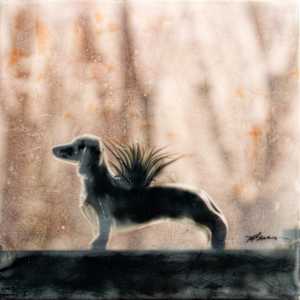 Dachshund in the Window by Angela Wimmer