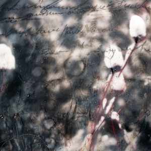 Snow Capped Faeries by Angela Wimmer