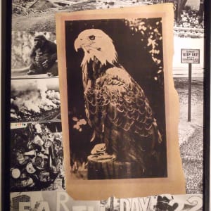 Earth Day, April 22 by Robert Rauschenberg