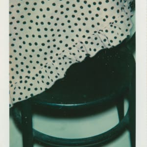 Polaroids Collection Part 1 by Andy Warhol 