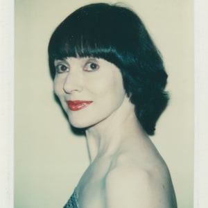 Polaroids Collection Part 1 by Andy Warhol 