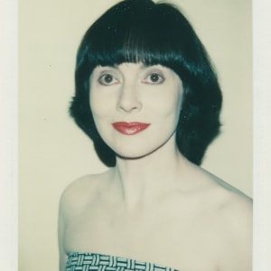 Polaroids Collection Part 2 by Andy Warhol 