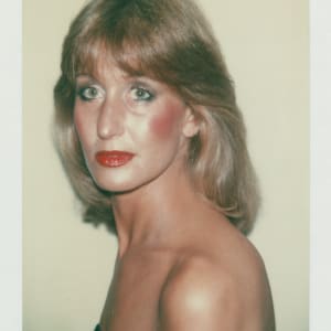 Polaroids Collection Part 2 by Andy Warhol 