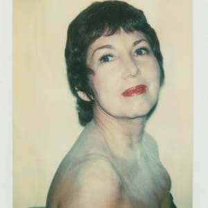 Polaroids Collection Part 2 by Andy Warhol 
