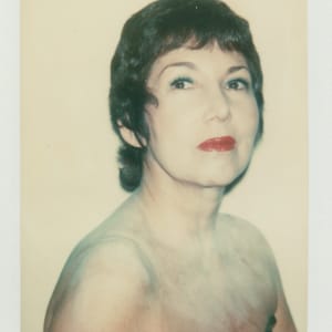 Polaroids Collection Part 2 by Andy Warhol 