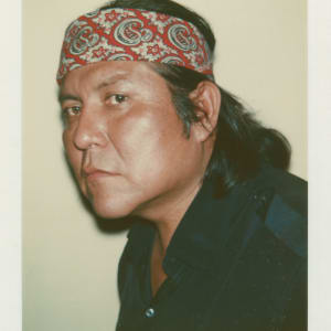 Polaroids Collection Part 2 by Andy Warhol 