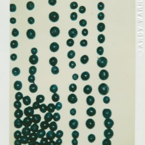 Polaroids Collection Part 4 by Andy Warhol 