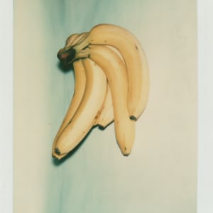 Polaroids Collection Part 4 by Andy Warhol 