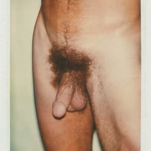 Polaroids Collection Part 4 by Andy Warhol 