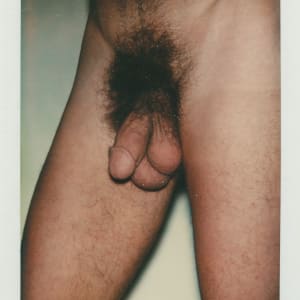 Polaroids Collection Part 4 by Andy Warhol 