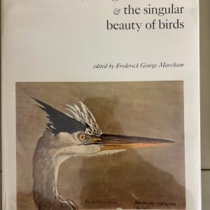 Louis Agassiz Fuertes & the singular beauty of birds by Louis Agassiz Feurtes