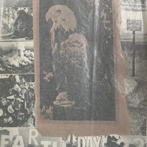 Earth Day, April 22 by Robert Rauschenberg 