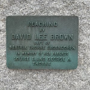Reaching by David Lee Brown 