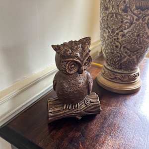 Owl #1 by C.G. Davies