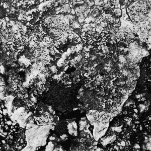 Getty Gardens 3 by Michael Benari