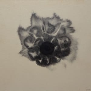 E-233 by Sal Sirugo, Image 3.