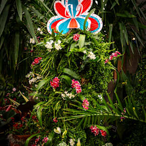 Patterns in Bloom by Molly Gambardella 