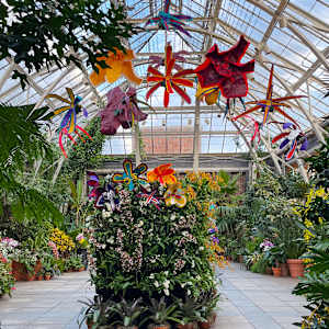 Patterns in Bloom: 3, purple, white + purple, white by Molly Gambardella 