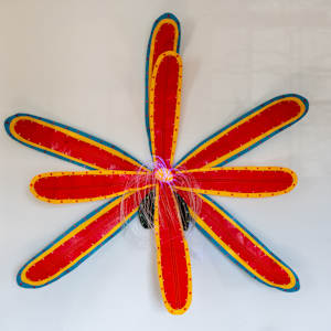 Patterns in Bloom: 1, teal, yellow, red + yellow, red by Molly Gambardella