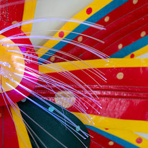 Patterns in Bloom: 1, yellow, teal, red + yellow, red by Molly Gambardella 