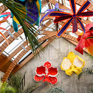 Patterns in Bloom: 4, red, yellow, teal + red, purple, teal by Molly Gambardella 