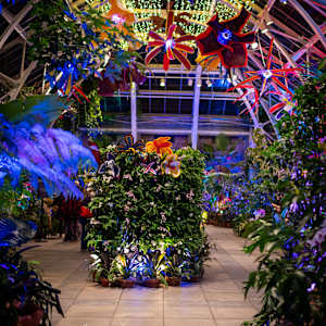 Patterns in Bloom: 4, red, yellow, teal + red, purple, teal by Molly Gambardella 