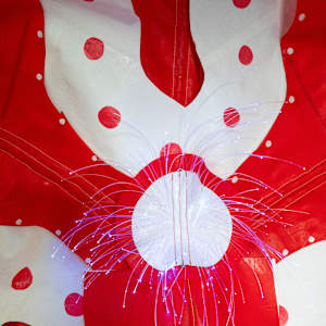 Patterns in Bloom: 2, red by Molly Gambardella 