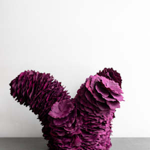 Lichen 60 by Molly Gambardella