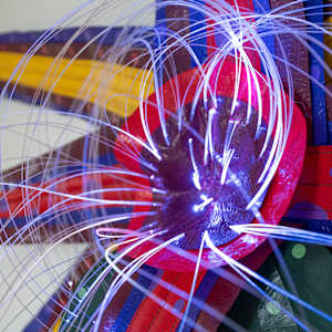 Patterns in Bloom: 4, purple, dark red, yellow + dark red, purple, red by Molly Gambardella 