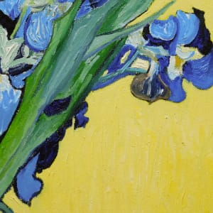 Vincent Van Gogh's Vase With Irises Against A Yellow Background 