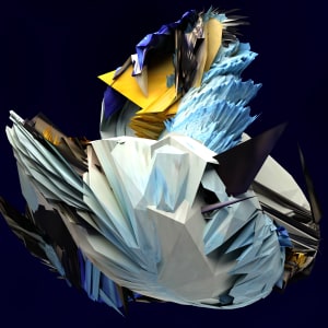 Bird God Digital  Image: Landing