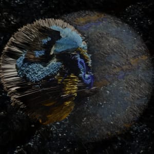 Bird God Digital 