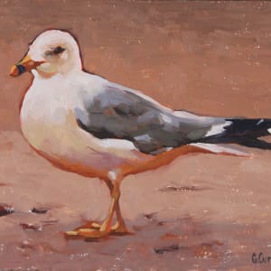 Small Seagull ii by Grace Curtis Fine Art