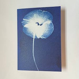 Cyanotype Note Card Poppy by Michele Randall, Image 1.