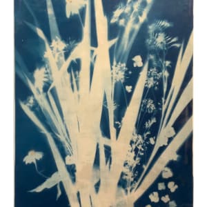 Peak Bloom by Michele Randall