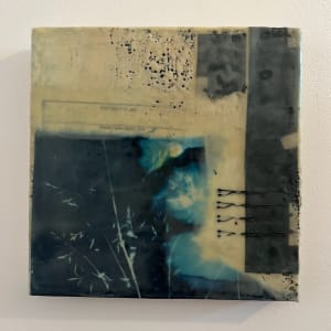 Pinned in Place by Michele Randall, Image 1.
