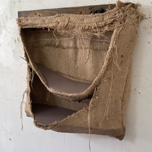 Suspended/Pouch Combo Painting (brownish mauve) by Howard Schwartzberg 