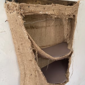 Suspended/Pouch Combo Painting (brownish mauve) by Howard Schwartzberg 
