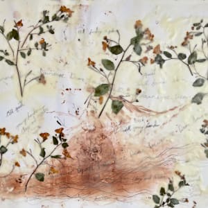 Dear Lawrence Drawings No.2