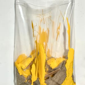 Living Painting (yellow) by Howard Schwartzberg