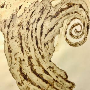 Spiral Worm Drawing No.12