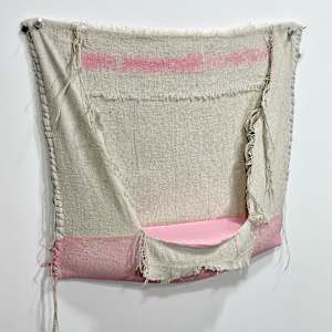 Pouch Painting  (light pink) by Howard Schwartzberg 