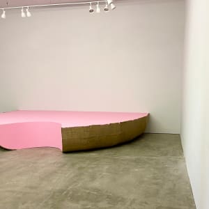 Bag Painting (pink cut curve) by Howard Schwartzberg 
