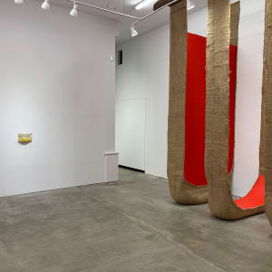 Installation Photos of show:  Click on image by Howard Schwartzberg 
