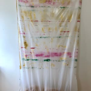 Transparent Negative Plastic Bag Painting (red yellow green) by Howard Schwartzberg