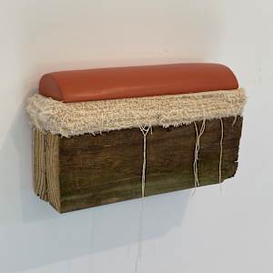 Bed Painting (burnt peach, horizontal curve) by Howard Schwartzberg 