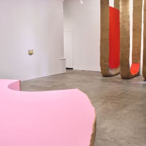 Installation Photos of show:  Click on image by Howard Schwartzberg 