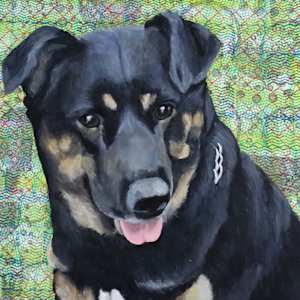 Tyson by Lorelle Carr